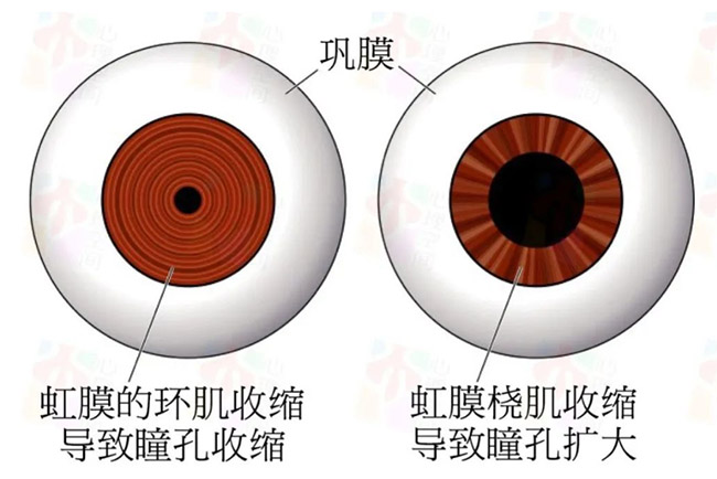 ͫ�״�С�������Ę�־